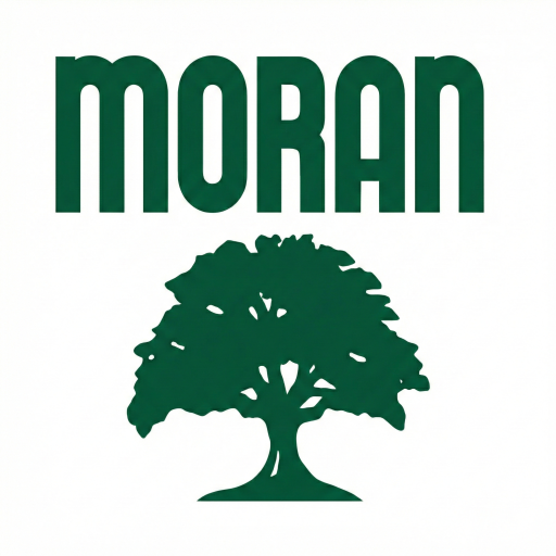 Historic Ocean Springs street scene reflecting Moran Realty's roots on the Gulf Coast